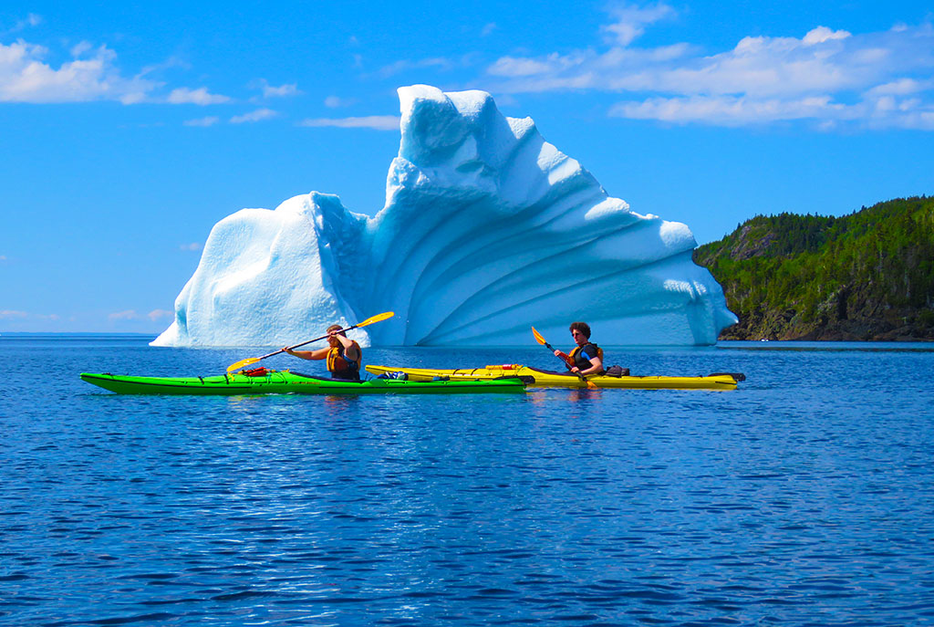 sea kayak tours newfoundland