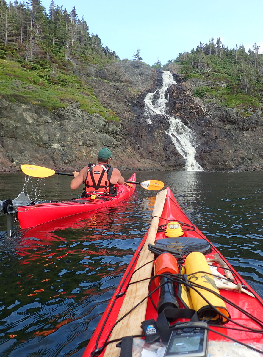 sea kayak tours newfoundland