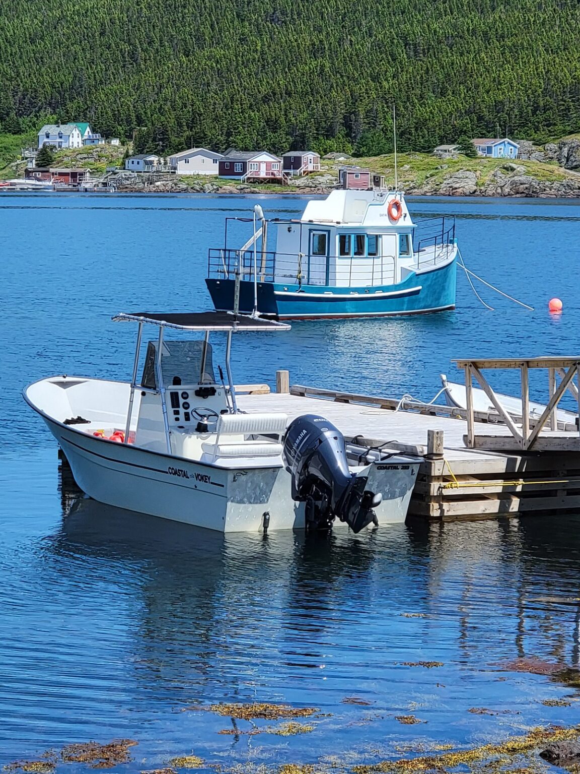 travac tours newfoundland